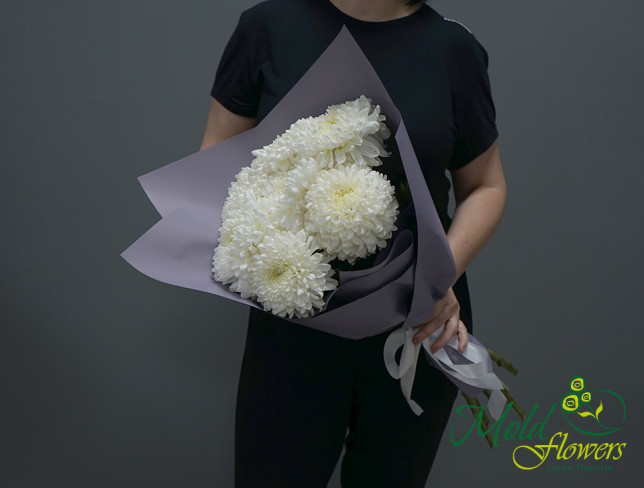 Bouquet of white chrysanthemums photo